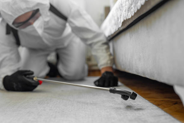 Professional Bed Bug Control technician working in Muskingum County County, OH